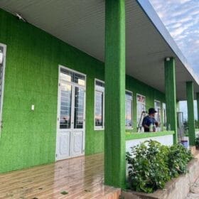 Cỏ nhân tạo 1cm dán tường nhà