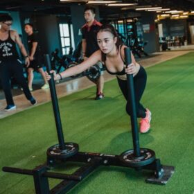 Cỏ nhân tạo phòng Gym