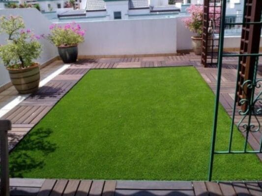 Khuôn viên sống xanh giữa đô thị