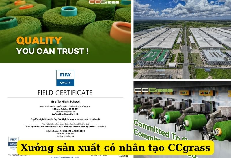 CCgrass - thương hiệu cỏ nhân tạo nổi tiếng trên thế giới