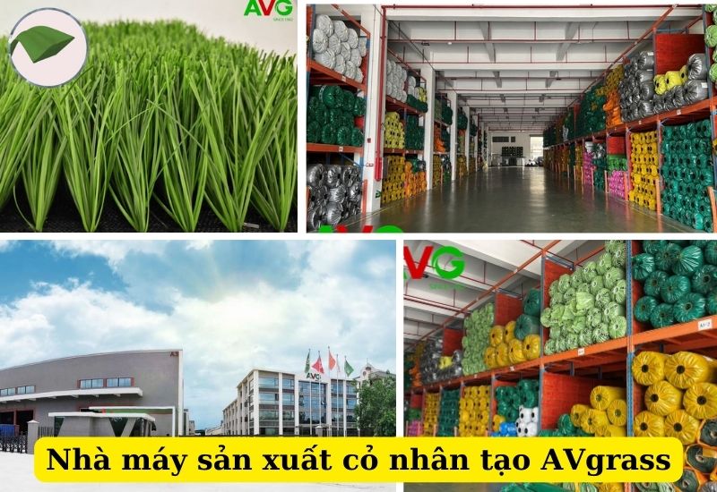 Công ty sản xuất cỏ nhân tạo AV
