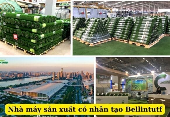 Bellintutf - Nhà máy sản xuất cỏ nhân tạo hàng đầu
