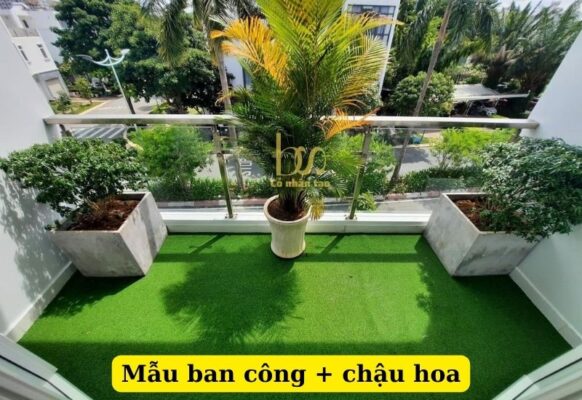 View đẹp không gian độc đáo