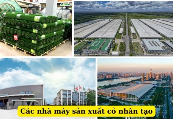 Các công ty, nhà máy sản xuất cỏ nhân tạo hàng đầu Việt Nam