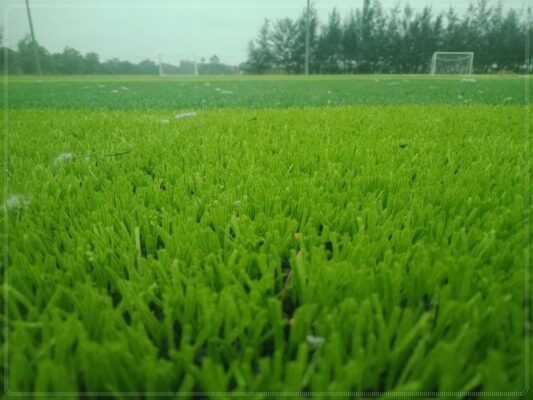 Cỏ mỗi công ty sẽ khác nhau về giá và chất lượng