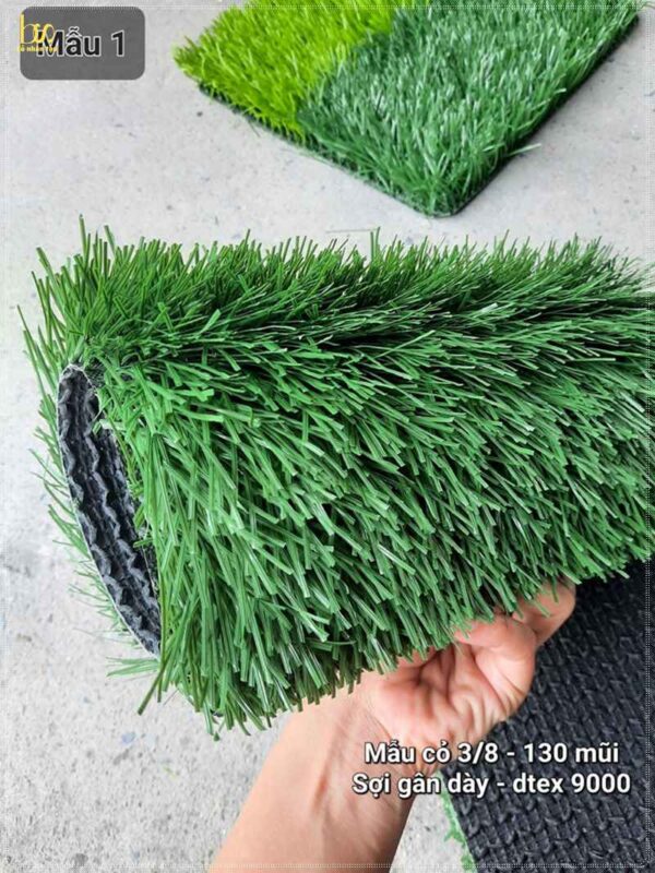 Dòng cỏ sân bóng được yêu thích