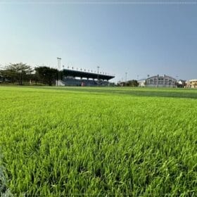 Thi công sân bóng đá cỏ nhân tạo