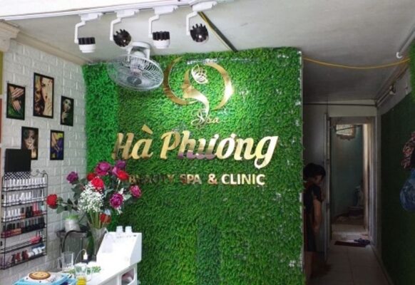 Cỏ giả trang trí vách ngăn