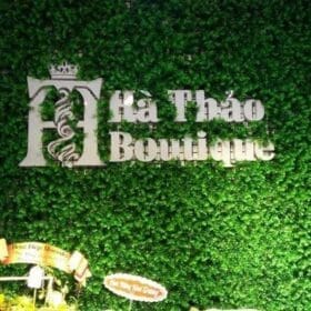 Cải xoong trang trí vách logo