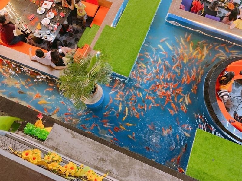 Cà phê hồ cá KOI trang trí lối đi bằng cỏ nhân tạo