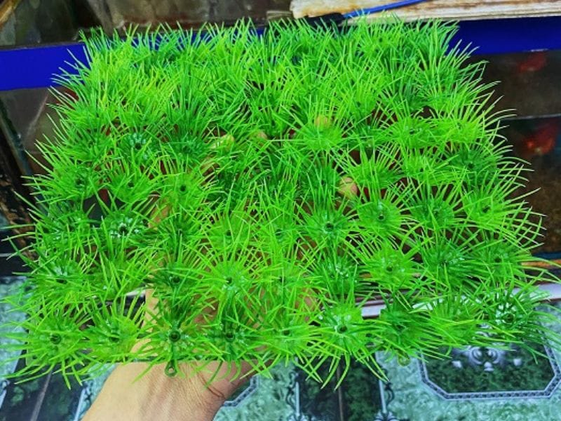 Cỏ giả lót dưới bể cá
