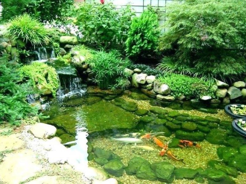 Hồ cá kết hợp với cỏ nhân tạo