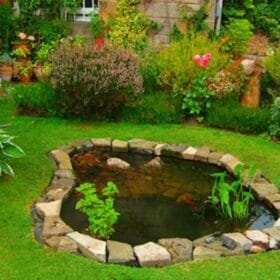 Không gian cỏ nhân tạo cho hồ cá ngoài trời