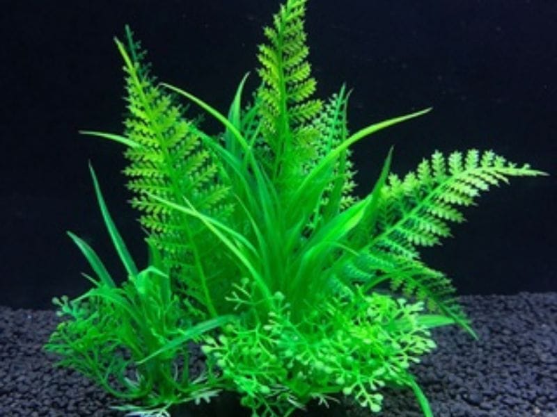 Mẫu cỏ giả dương sỉ