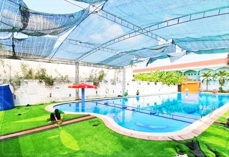 Cỏ nhân tạo trang trí hồ bơi đẹp mắt, sạch sẽ