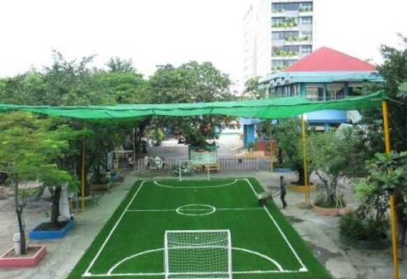 Cỏ nhân tạo sân trường giá rẻ
