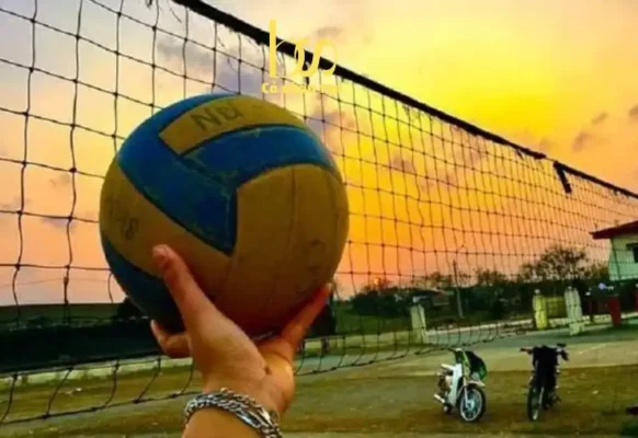 Cỏ nhân tạo sân bóng chuyền