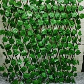 Dây leo trang trí tường