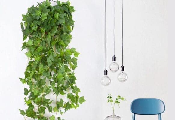Kết hợp nhiều loại dây leo, hoa lá cành