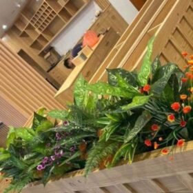 Bồn cây kết hợp với gỗ