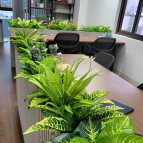 Khu vực làm việc xanh
