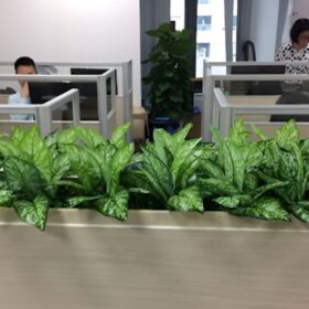 Khu vực làm việc thêm xanh, sạch