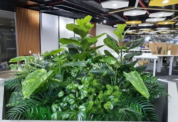 Các loại cây đẹp mắt