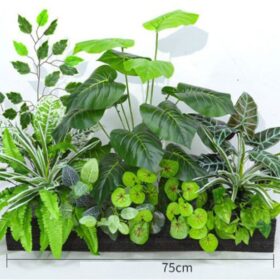 Kích thước chậu cây thường dùng