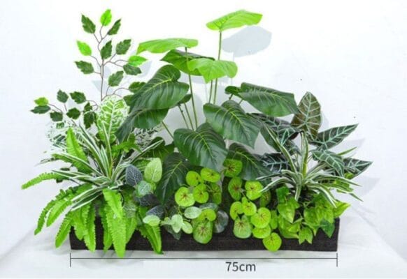 Kích thước chậu cây thường dùng
