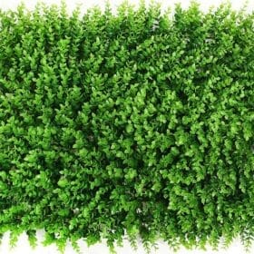 Tấm nhựa tai chuột