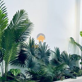 Các loại cây cao