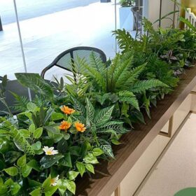 Bồn cây nhựa trên bàn