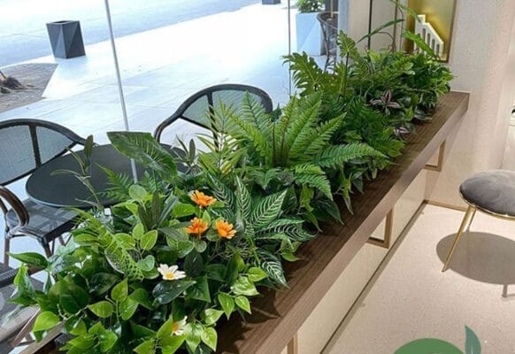 Bồn cây nhựa trên bàn