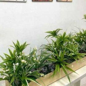 Bồn cây cạnh tường đẹp