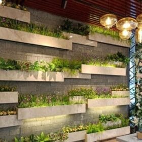 Bồn cây trên tường