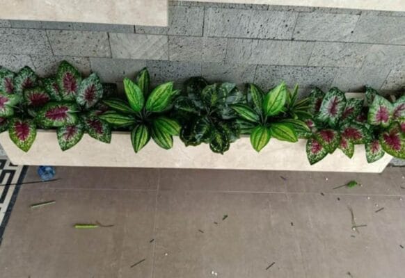 Bồn cây đơn giản nhưng đẹp