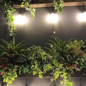 Bồn cây kết hợp ánh sáng đẹp mắt