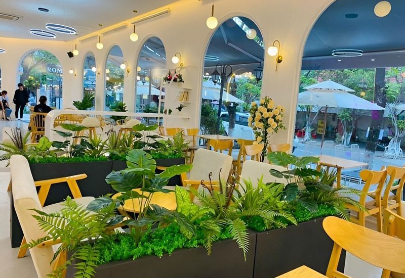 Bồn cây nhựa trang trí văn phòng đẹp mắt