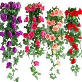 Những chậu hoa treo tường đẹp mắt