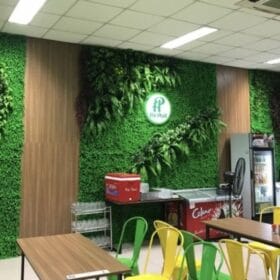 Khuôn viên bắt mắt, sang trọng hơn