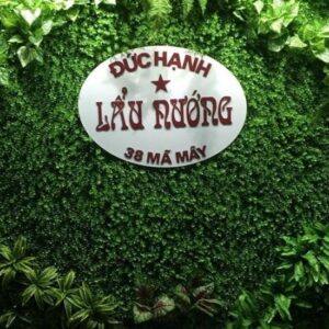 Tấm nền cỏ nhựa cải xoong cho logo