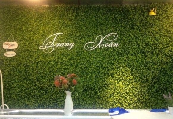 Thiết kế tường logo đẹp mắt