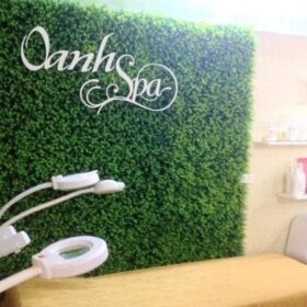 Thiết kế tấm cỏ nhựa cho spa
