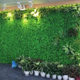 Thiết kế bức tường xanh với thảm cỏ nhựa treo tường