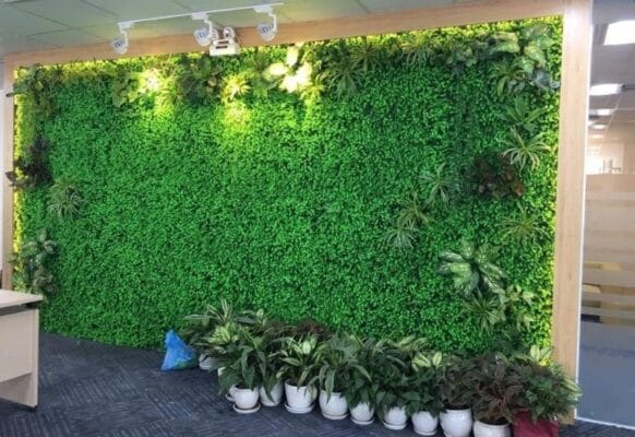 Thiết kế bức tường xanh với thảm cỏ nhựa treo tường