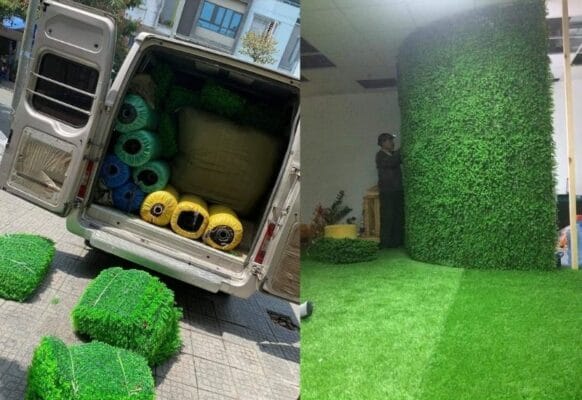 Tấm cỏ cải xoong làm đẹp cho khuôn viên