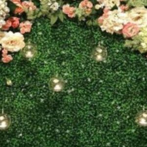 Biến bức tường khô khan thành nơi xanh tươi