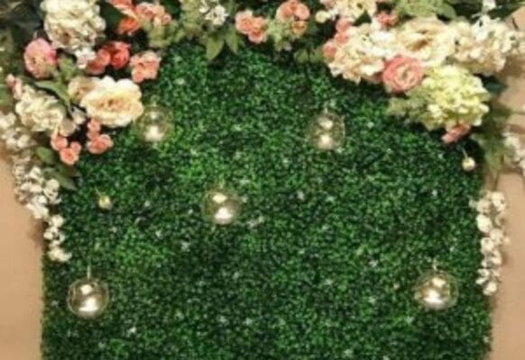 Biến bức tường khô khan thành nơi xanh tươi