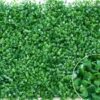 Cỏ nhựa cải xoong trang trí