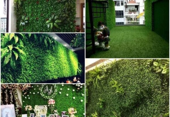 Tấm cải xoong trang trí tường đẹp mắt